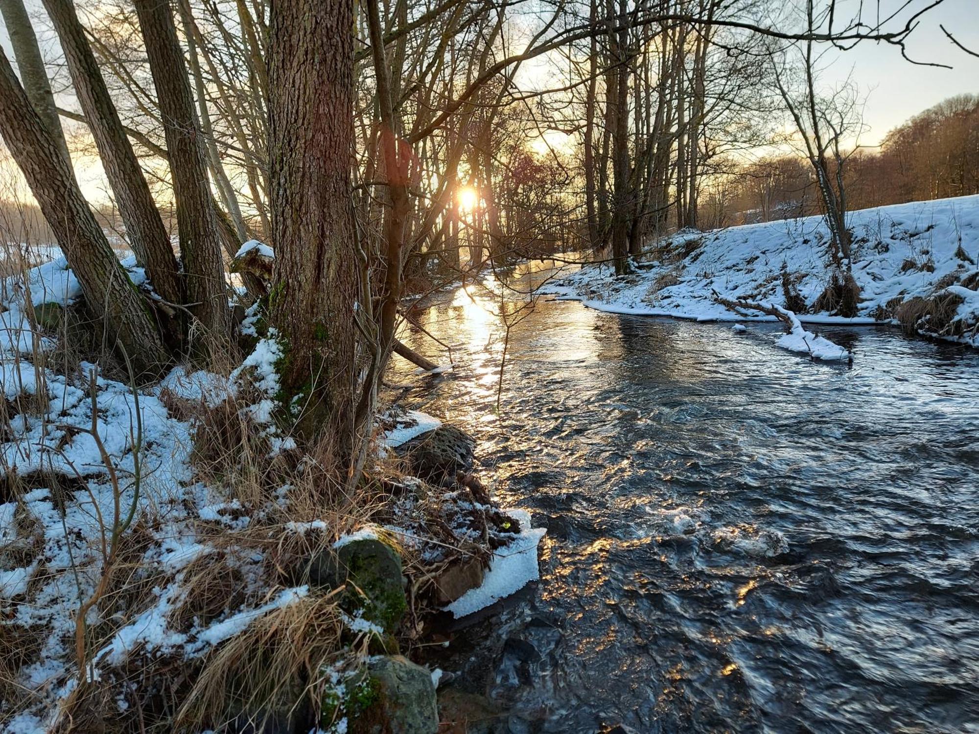 Gaestehaus Hochrhoenblick Schonau an der Brend Экстерьер фото