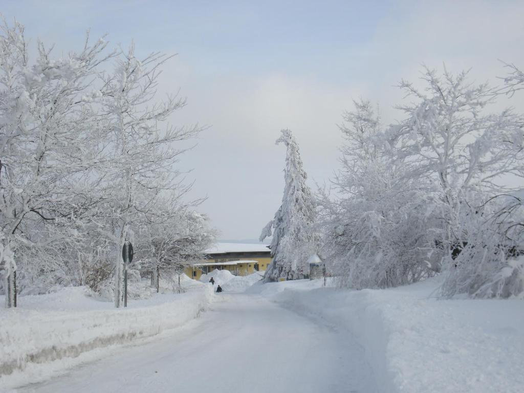 Gaestehaus Hochrhoenblick Schonau an der Brend Экстерьер фото